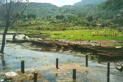 canoes.jpg (54422 bytes) canoes.jpg (54422 bytes)