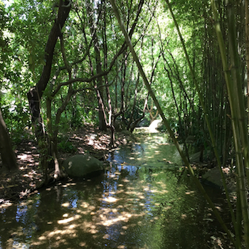 Lizbon ve Gulbenkian