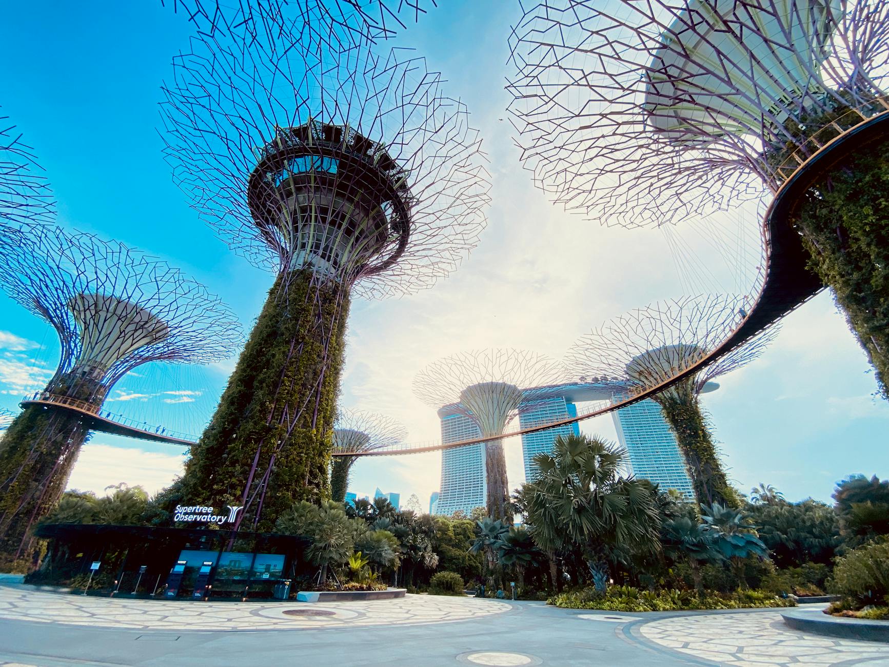 gardens by the bay in singapore